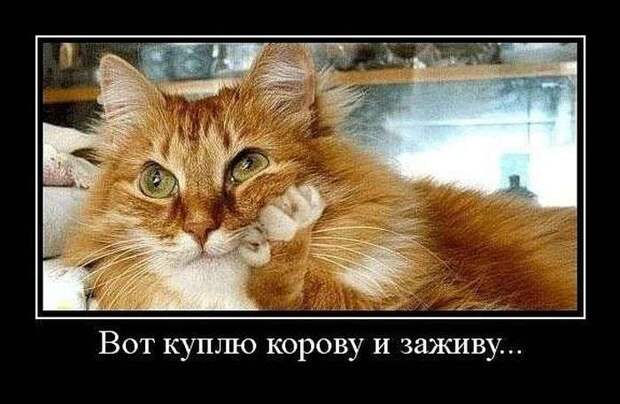 Демотиваторы Демотиваторы