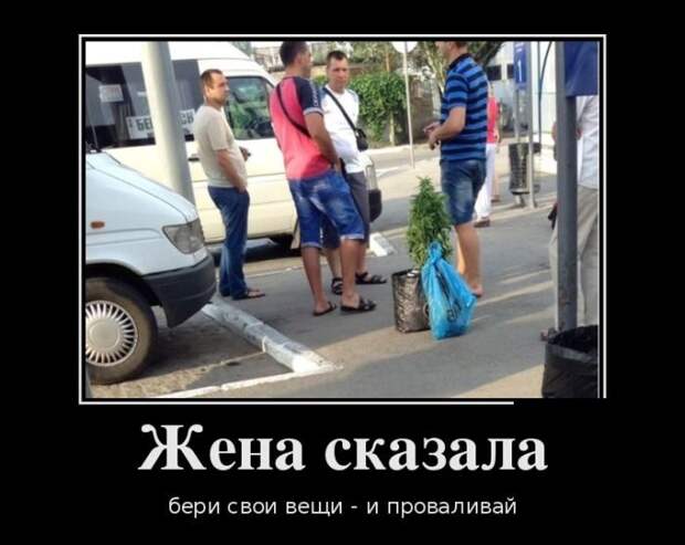 Демотиваторы, этакие для улыбки Демотиваторы, этакие для улыбки