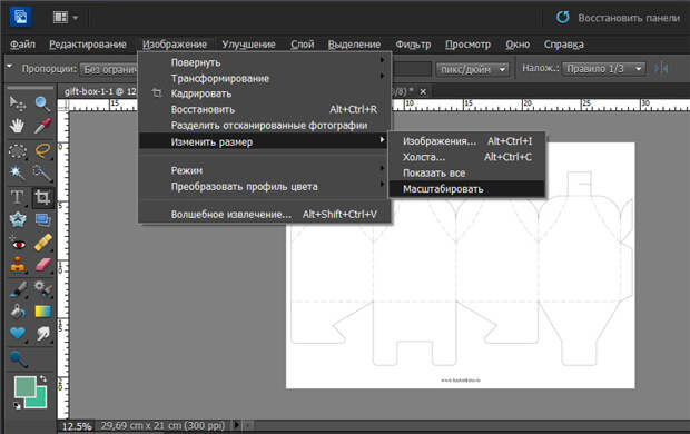 Adobe Photoshop Elements 10