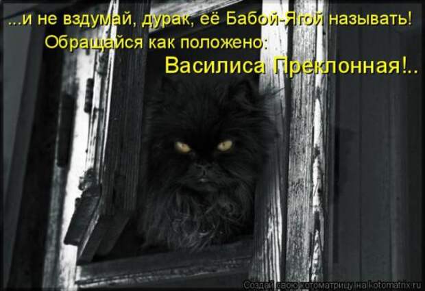 Котоматрицы(картинки с надписями)