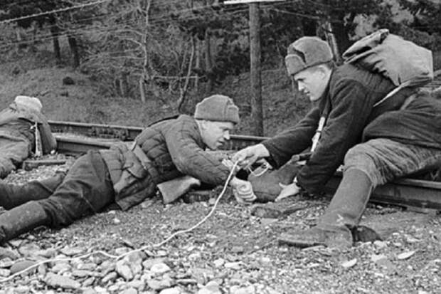 Отряд учёных-партизан краснодарского НИИ. Соотношение потерь 1:1600