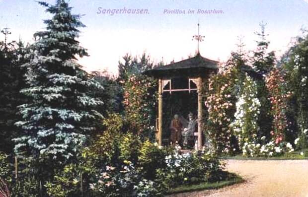rosarium_europa_012_1932.jpg