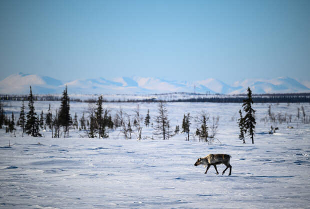 Уральские горы: самые известные и высокие вершины Урала