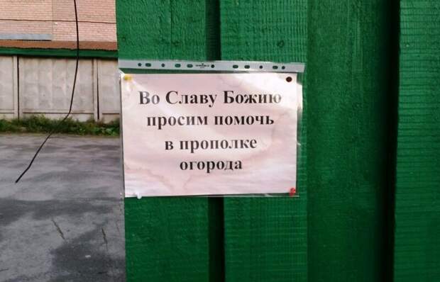 Никак без высших сил при прополке огорода Никак без высших сил при прополке огорода благочестие, доброта, добрые дела, молитва, православные шутят