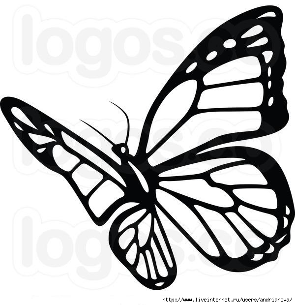 1376392317_103917057_large_royaltyfreeblackandwhitebutterflylogobydero2824 (600x620, 127Kb)
