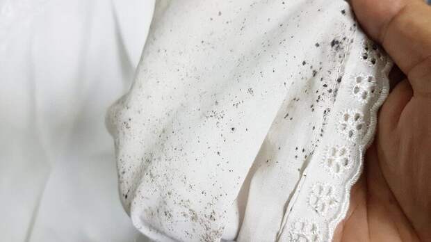 Как отстирать плесень с одежды: 9 средств и способы очистки