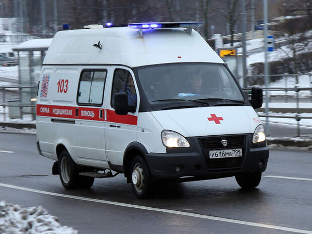 Они сами принесли девочек в палату