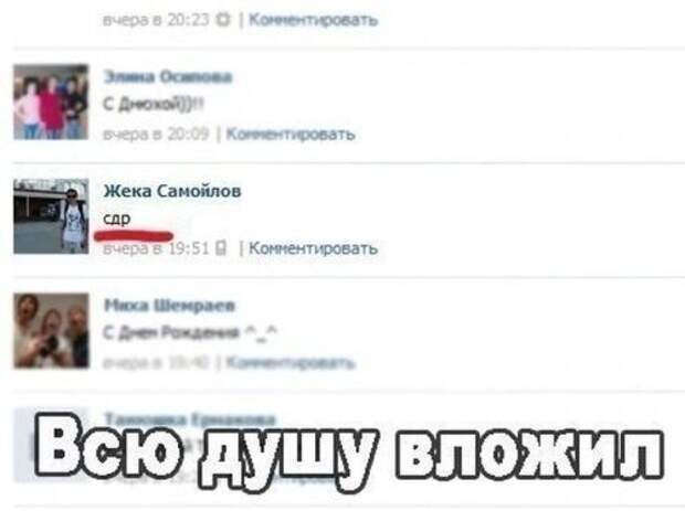 Самые прикольные картинки