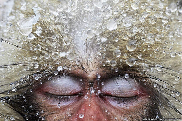 Победители конкурса Travel Photographer Of The Year 2013 131217170357 2013 wildstories jwin3 Победители конкурса Travel Photographer Of The Year 2013