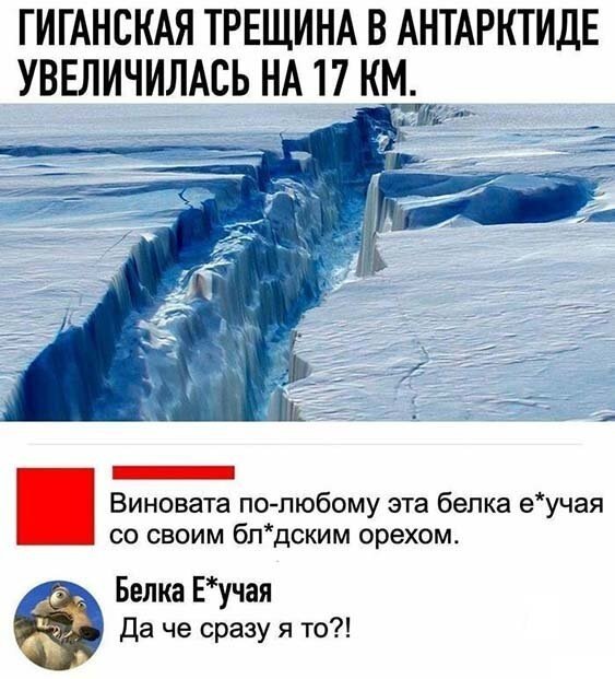 Белка ) Белка )