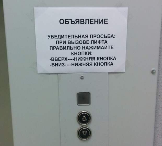Подборка картинок. Дневной выпуск (25 фото)