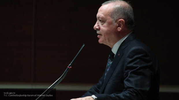 Эрдоган заявил, что Турция продолжит сокрушать курдов-террористов в Сирии Эрдоган заявил, что Турция продолжит сокрушать курдов-террористов в Сирии