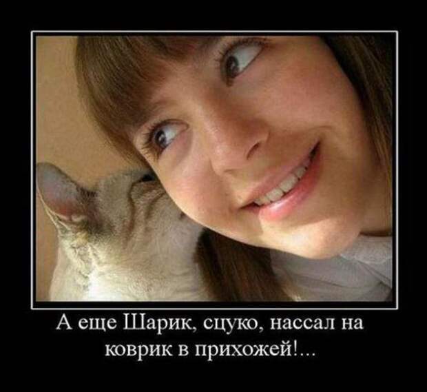 Новые демотиваторы с приколами и смыслом
