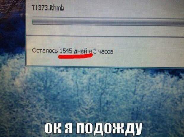 Забавные фотомемы (15 шт)