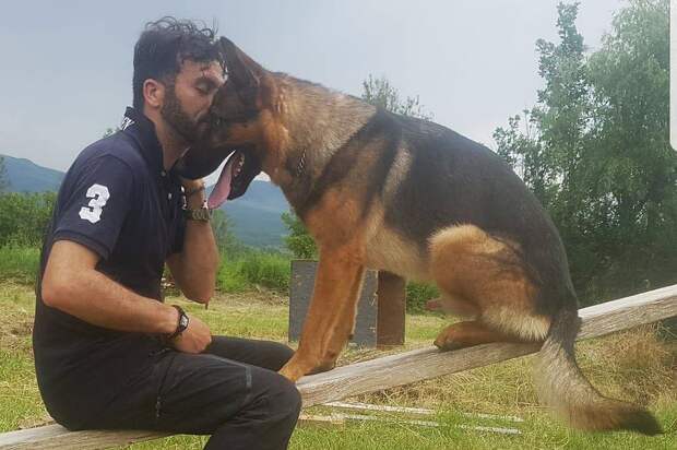 Италия требует наказать отравителя пса-героя, как за убийство человека
