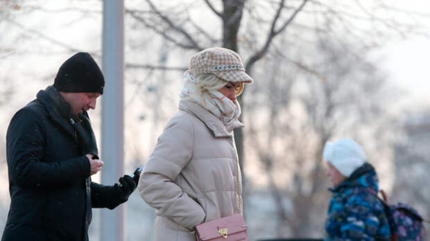 Морозы вернутся в Москву в начале следующей недели