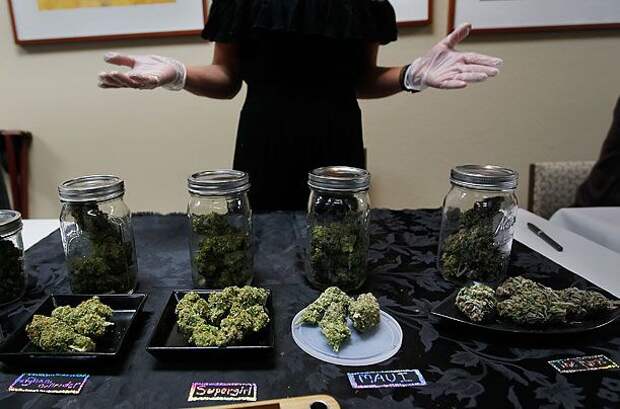 В Калифорнии легализовали марихуану