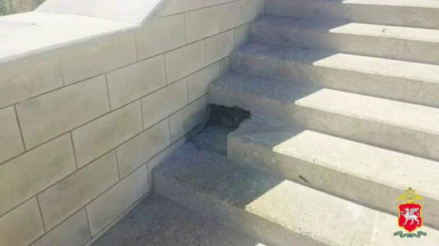 В Керчи осудят директора стройфирмы за аферу на 210 млн рублей при реставрации Митридатской лестницы