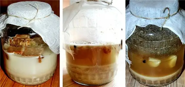 Журек старопольский с грибами