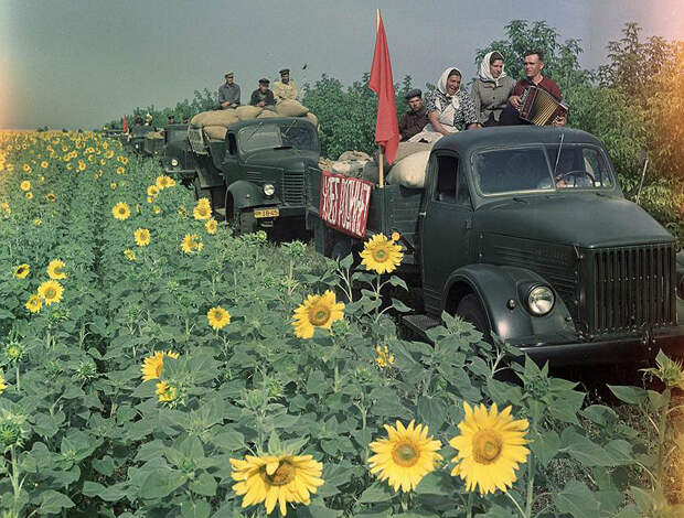 Постановочные фото «счастливой советской жизни».