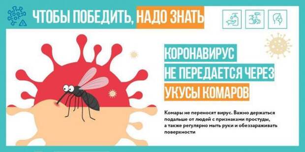 Инфографика: сайт мэра Москвы Mos.ru