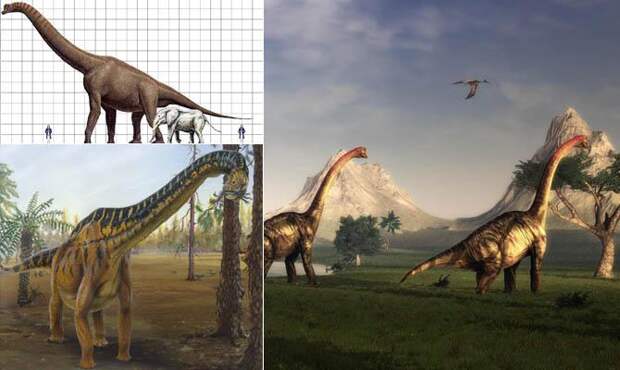 Интересные факты о динозаврах, брахиозавр