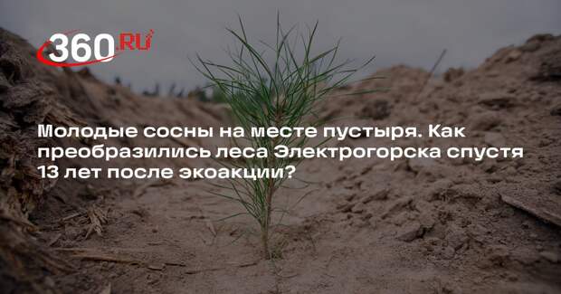 Новый лес вырос на месте пустыря в Электрогорске благодаря экоакции