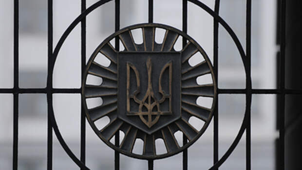 Подхрюкивают. Доказано: Депутат Рады в прямом эфире обвинил власти Украины в высшем свинстве