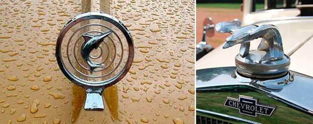 Автомобильные эмблемы на капотах (33 фото)