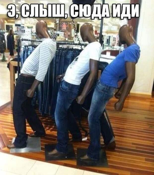 Прикольные картинки Прикольные картинки