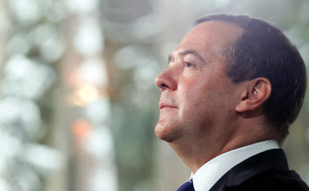 В Германии резко отреагировали на слова Медведева о расширении ЕС