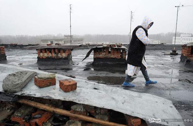 Жители военного городка (10 фото)