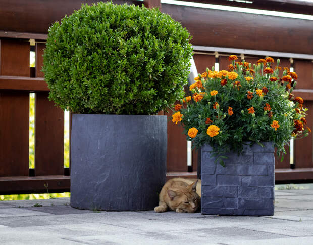Designed by Freepik. Источник: www.freepik.com