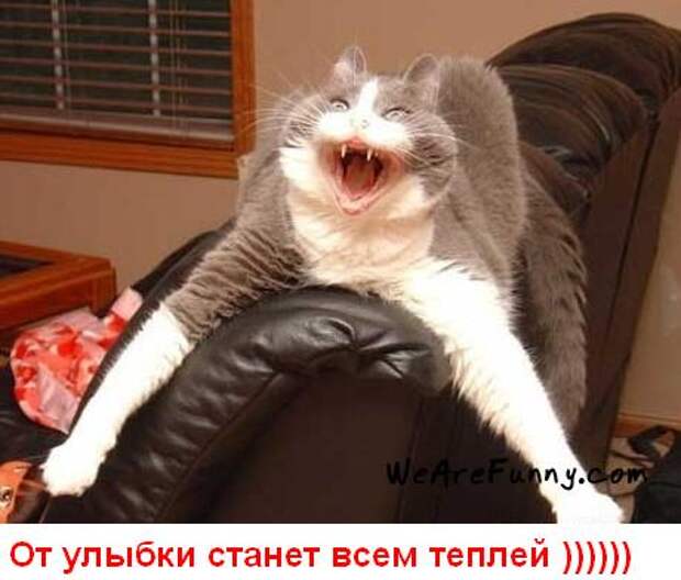 Улыбнись (15 картинок)