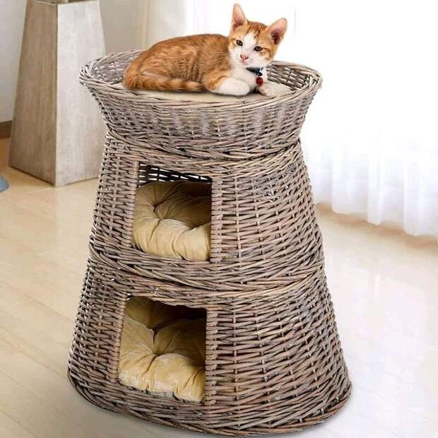 Котодром и своя однушка: 10 нереальных домиков для кошек
