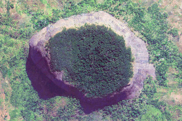 На спутниковых снимках нашли древний затерянный лес на вершине круглой горы