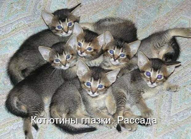 Продолжаем подготовку к Новому Году.