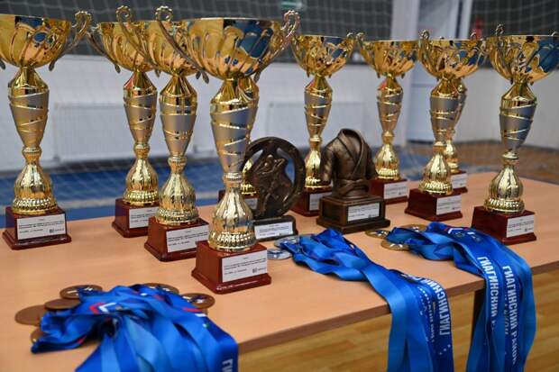 В ст. Гиагинской на базе ФОК им. Арсена Галстяна прошёл XXVI юношеский турнир по дзюдо