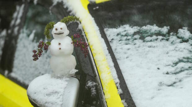 До 70% месячной нормы осадков выпало в Москве и области за первые 2 дня мая