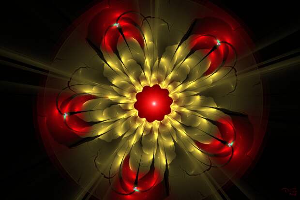 http://cp15.nevsepic.com.ua/234/23313/1423160705-fractal-flowers-by-diza-11.png