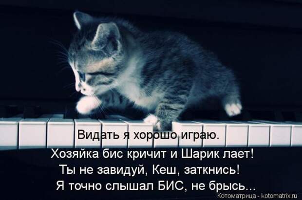 Лучшие котоматрицы недели Лучшие котоматрицы недели
