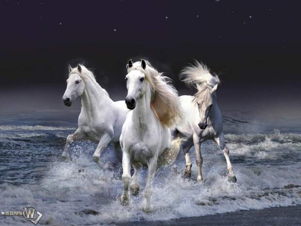 Белые лошади бегущие по волнам
