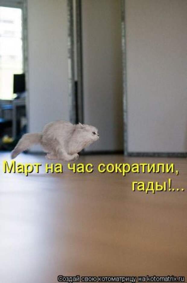 Котоматрица для ночных посетителей Поржать.ру