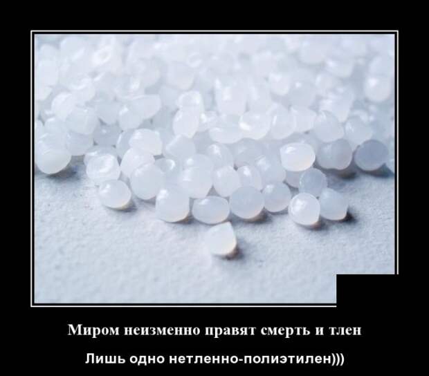 Демотиваторы (20 фото)