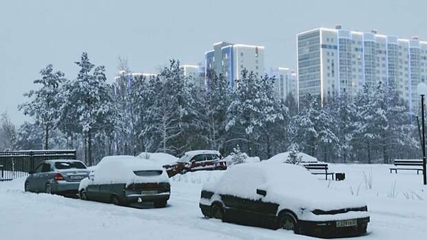 До -8. О погоде в Барнауле 30 января