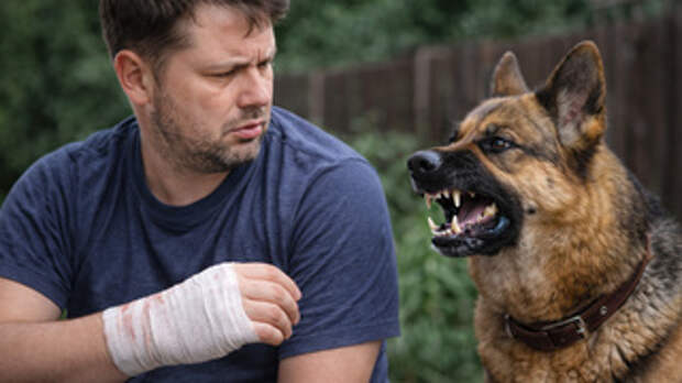 Изображение сгенерировано нейросетью DALL-E