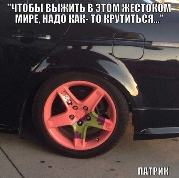 Сборник фотоприколов на автотематику (26 шт)