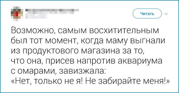 20+ твитов о милых странностях, которые люди подметили у своих близких