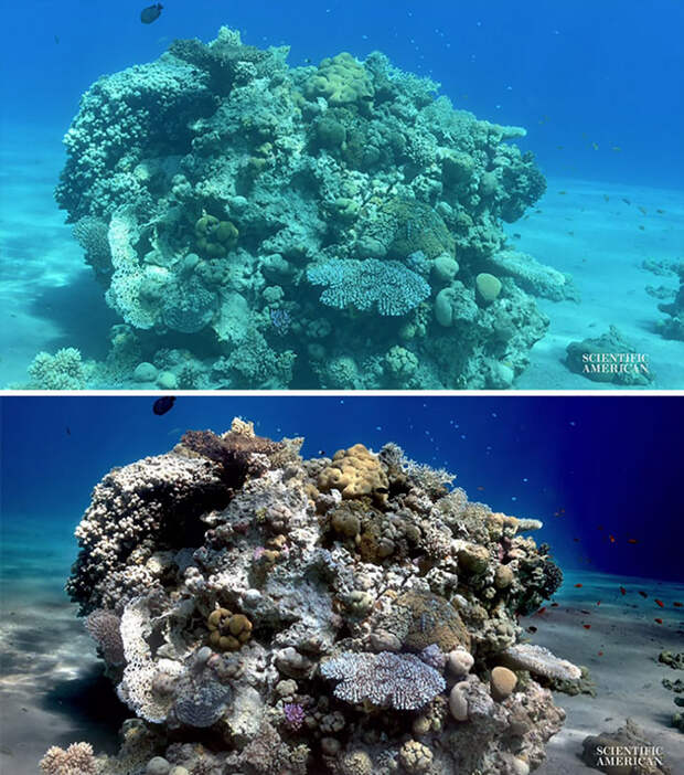 Море без воды