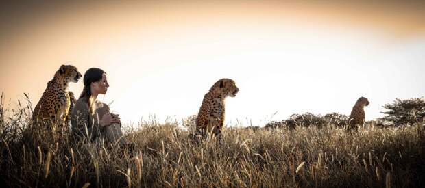 Anna Fenninger / Анна Феннингер с гепардами в Африке / фотограф Thomas Kettner / Cheetah